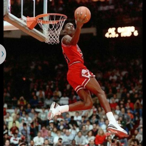 Meet your Posher, Will - Picture 1 of 1